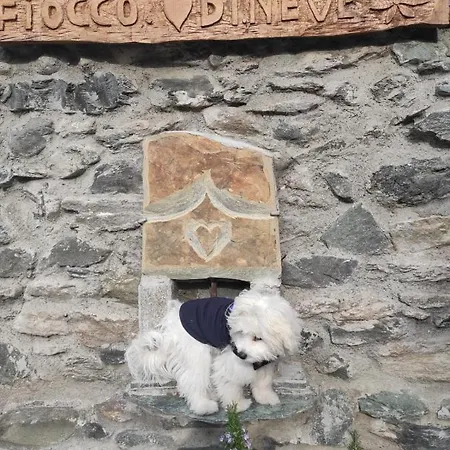 아파트 Fiocco Di Neve *